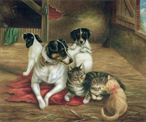 Stallfreunde